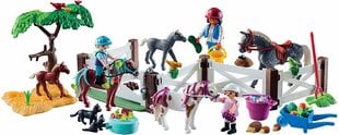 9262 PLAYMOBIL® Advendikalender Taluloomad цена и информация | Игрушки для мальчиков | hansapost.ee