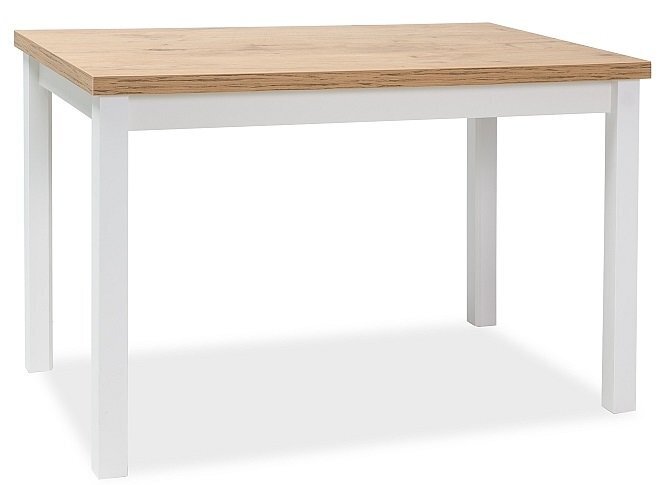 Laud Adam DLB, 68x120 cm, tamme/valge värv hind ja info | Köögilauad, söögilauad | hansapost.ee