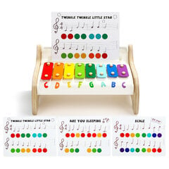 Детский ксилофон Слоник Top Bright цена и информация | Развивающие игрушки для детей | hansapost.ee