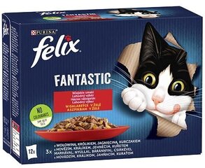 Konserv kassidele Felix Fantastic veise-, küüliku-, lamba-, kanaliha maitsega, 12x85 g hind ja info | Felix Kassid | hansapost.ee