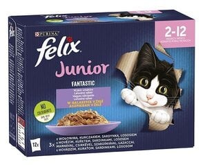 Felix Fantastic со вкусом говядины, курицы, сардины, лосося, 12х85г цена и информация | Felix Товары для животных | hansapost.ee