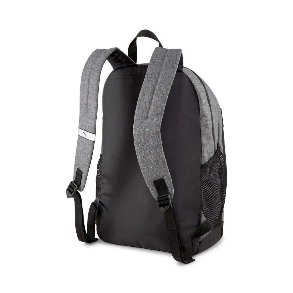 Seljakott Puma Buzz, 26 l, hall цена и информация | Spordikotid ja seljakotid | hansapost.ee