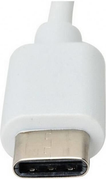 Võrgukaardi adapter Techly USB-C 3.1 RJ45 Gigabit 10/100/1000 цена и информация | USB adapterid ja jagajad | hansapost.ee
