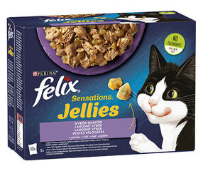 Konserv kassidele Felix Sensations Jellies erinevad maitsed, 12x85 g hind ja info | Felix Kassid | hansapost.ee