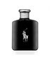 Tualettvesi Ralph Lauren Polo Black EDT meestele 40 ml цена и информация | Parfüümid meestele | hansapost.ee