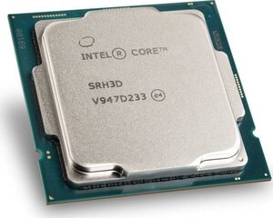 Процессор Intel BX80701G6400 цена и информация | Процессоры (CPU) | hansapost.ee