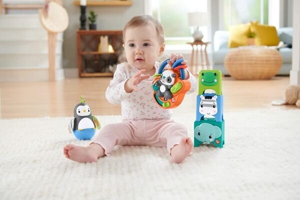 Komplekt Ehitame, Fisher Price hind ja info | Beebide mänguasjad | hansapost.ee