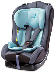 Caretero автомобильное кресло Combo, мятный цвет цена и информация | Caretero Товары для детей и младенцев | hansapost.ee