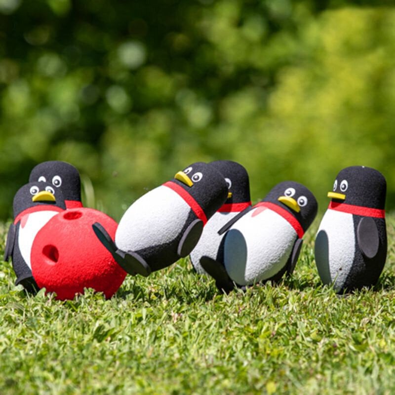 Bowling Pingviinid Schildkrot цена и информация | Ranna- ja õuemänguasjad | hansapost.ee
