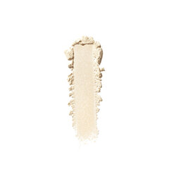 Tolmpuuder Shiseido Synchro Skin Invisible Silk Matte, 6 g hind ja info | Jumestuskreemid ja puudrid | hansapost.ee