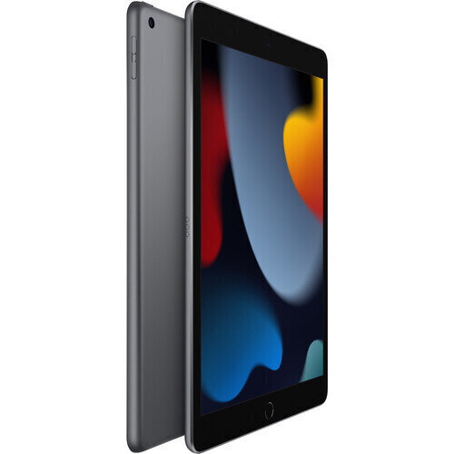 Apple iPad 10.2" Wi-Fi + Cellular 64GB - Space Grey 9th Gen MK473HC/A цена и информация | Tahvelarvutid | hansapost.ee