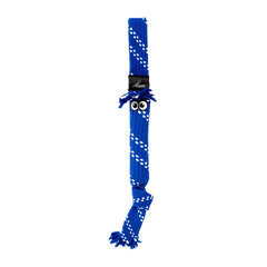 Rogz Scrubz Small Blue sinine köis, 31,5 cm цена и информация | Игрушки для собак | hansapost.ee