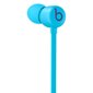 Beats Flex – All-Day Wireless Earphones - Flame Blue - MYMG2ZM/A цена и информация | Kõrvaklapid | hansapost.ee