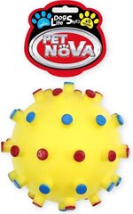 Pet Nova игрушка-пищащий колючий шарик, 12см цена и информация | Игрушки для собак | hansapost.ee