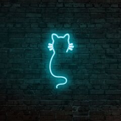 Настенный светильник Cat цена и информация | Настенный светильник Конусы | hansapost.ee
