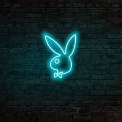 Настенный светильник Playboy цена и информация | Настенный светильник Конусы | hansapost.ee