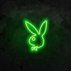 Настенный светильник Playboy цена и информация | Настенные светильники | hansapost.ee