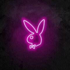 Настенный светильник Playboy цена и информация | Настенный светильник Конусы | hansapost.ee