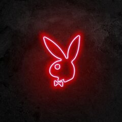 Настенный светильник Playboy цена и информация | Настенный светильник Конусы | hansapost.ee