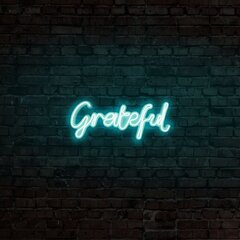 Настенный светильник Grateful цена и информация | Настенные светильники | hansapost.ee