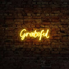 Настенный светильник Grateful цена и информация | Настенные светильники | hansapost.ee