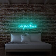 Настенный светильник Carpe Diem цена и информация | Настенные светильники | hansapost.ee