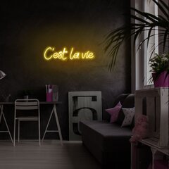Настенный светильник C'est La Vie цена и информация | Настенный светильник Конусы | hansapost.ee