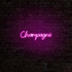 Настенный светильник Champagne цена и информация | Настенный светильник Конусы | hansapost.ee