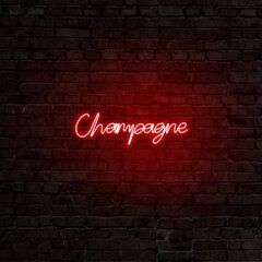 Настенный светильник Champagne цена и информация | Настенный светильник Конусы | hansapost.ee