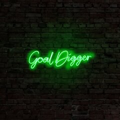 Настенный светильник Goal Digger цена и информация | Настенный светильник Конусы | hansapost.ee
