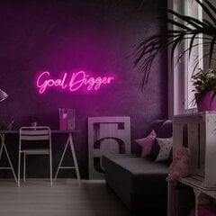 Настенный светильник Goal Digger цена и информация | Настенные светильники | hansapost.ee