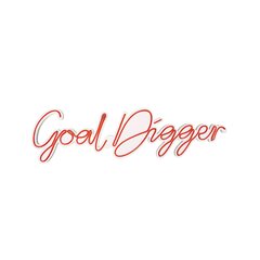 Настенный светильник Goal Digger цена и информация | Настенные светильники | hansapost.ee