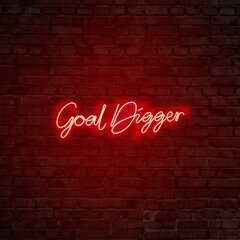 Настенный светильник Goal Digger цена и информация | Настенные светильники | hansapost.ee