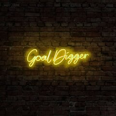 Настенный светильник Goal Digger цена и информация | Настенные светильники | hansapost.ee