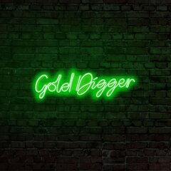 Настенный светильник Gold Digger цена и информация | Настенные светильники | hansapost.ee