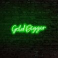 Настенный светильник Gold Digger