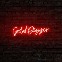 Настенный светильник Gold Digger цена и информация | Настенный светильник Конусы | hansapost.ee