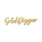 Seinavalgusti Gold Digger hind ja info | Seinavalgustid | hansapost.ee