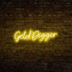 Настенный светильник Gold Digger цена и информация | Настенные светильники | hansapost.ee