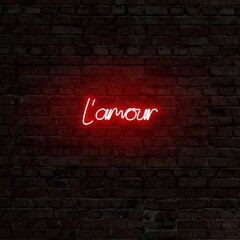 Настенный светильник L'amour цена и информация | Настенный светильник Конусы | hansapost.ee