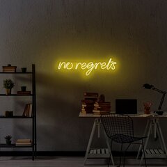 Настенный светильник No Regrets цена и информация | Настенный светильник Конусы | hansapost.ee