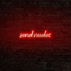 Настенный светильник Send Nudes цена и информация | Настенный светильник Конусы | hansapost.ee