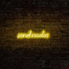 Настенный светильник Send Nudes цена и информация | Настенные светильники | hansapost.ee