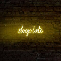 Настенный светильник Sleep Late цена и информация | Настенные светильники | hansapost.ee