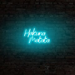 Настенный светильник Hakuna Matata цена и информация | Настенный светильник Конусы | hansapost.ee