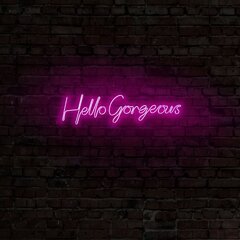 Настенный светильник Hello Gorgeous цена и информация | Настенные светильники | hansapost.ee