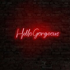 Настенный светильник Hello Gorgeous цена и информация | Настенный светильник Конусы | hansapost.ee