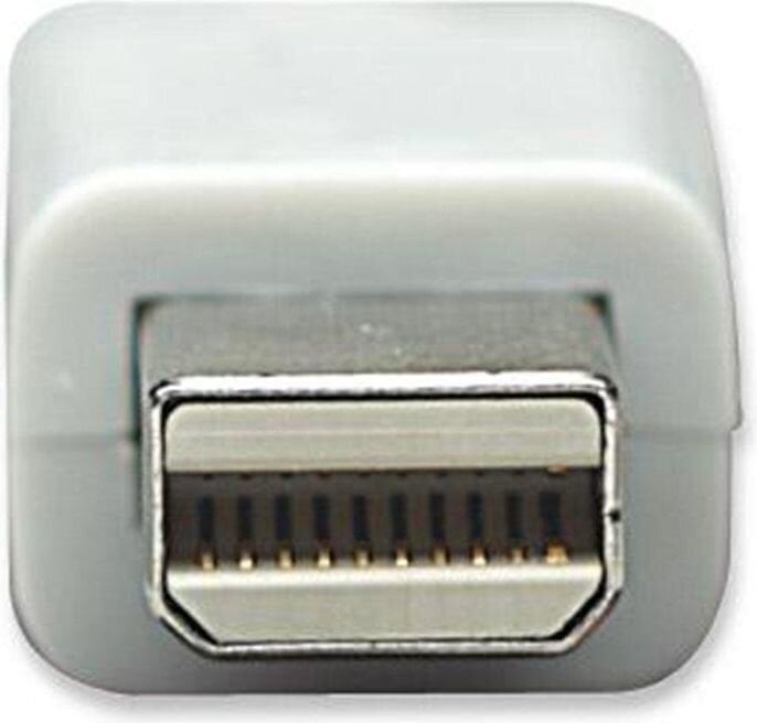 Techly, Mini DP/HDMI hind ja info | USB adapterid ja jagajad | hansapost.ee