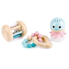 Набор деревянных игрушек Hape цена и информация | Игрушки для малышей | hansapost.ee