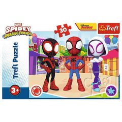 Головоломка Trefl Человек-паук Spidey, 30 дет. цена и информация | Пазлы | hansapost.ee